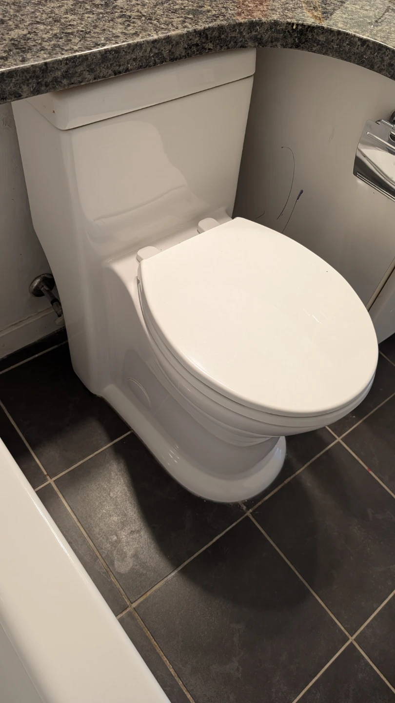 White One-Piece ProjectSource Toilet