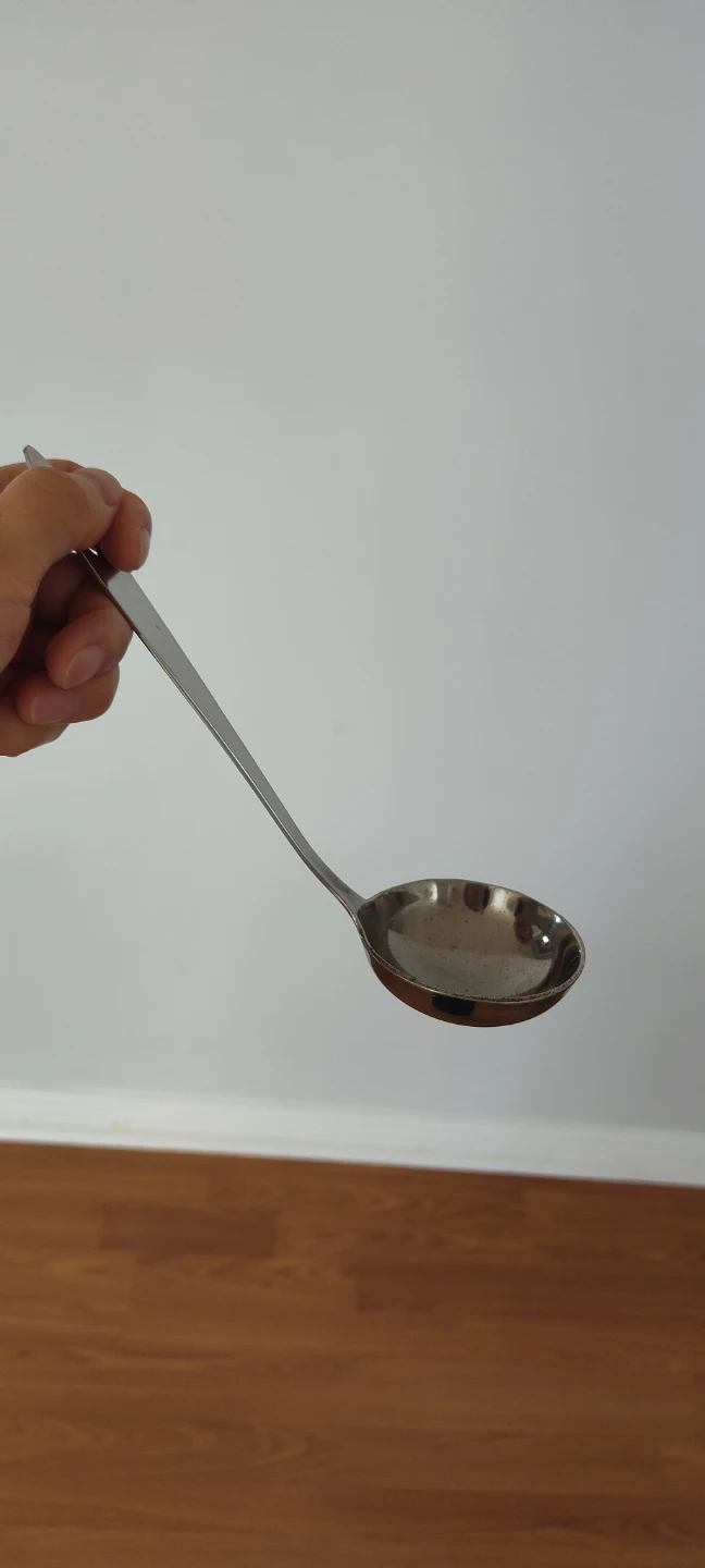 Stainless Steel Ladle