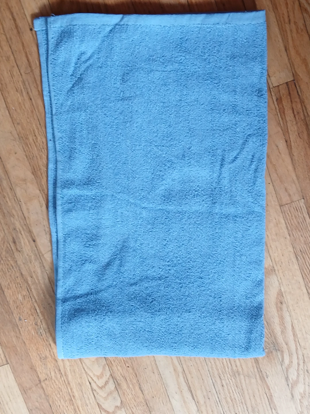 New 2 pcs Blue Towel