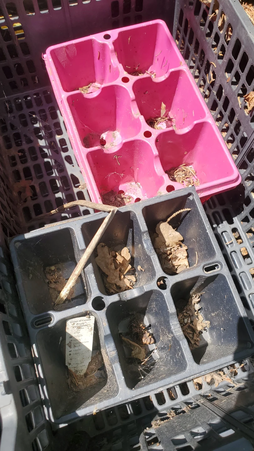 Assorted Plant Pots and Seed Trays - photo 5