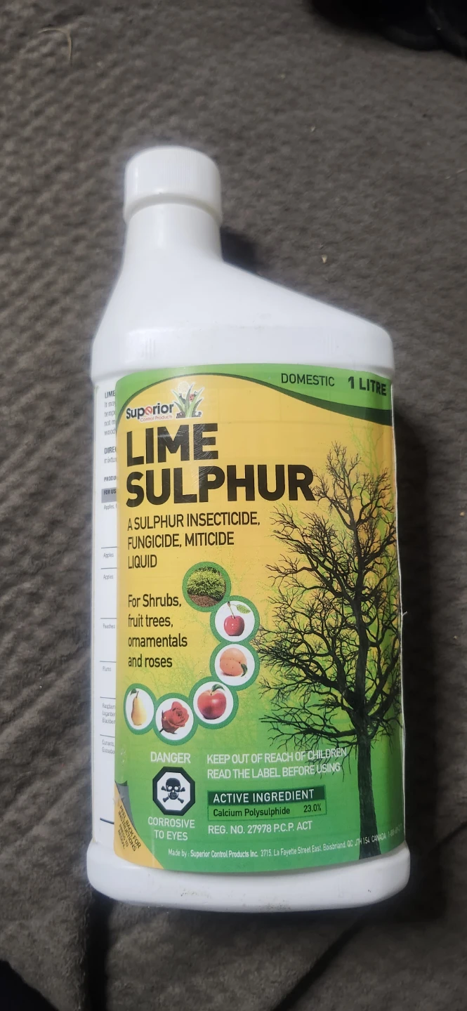 Superior Lime Sulphur Domestic 1 Litre