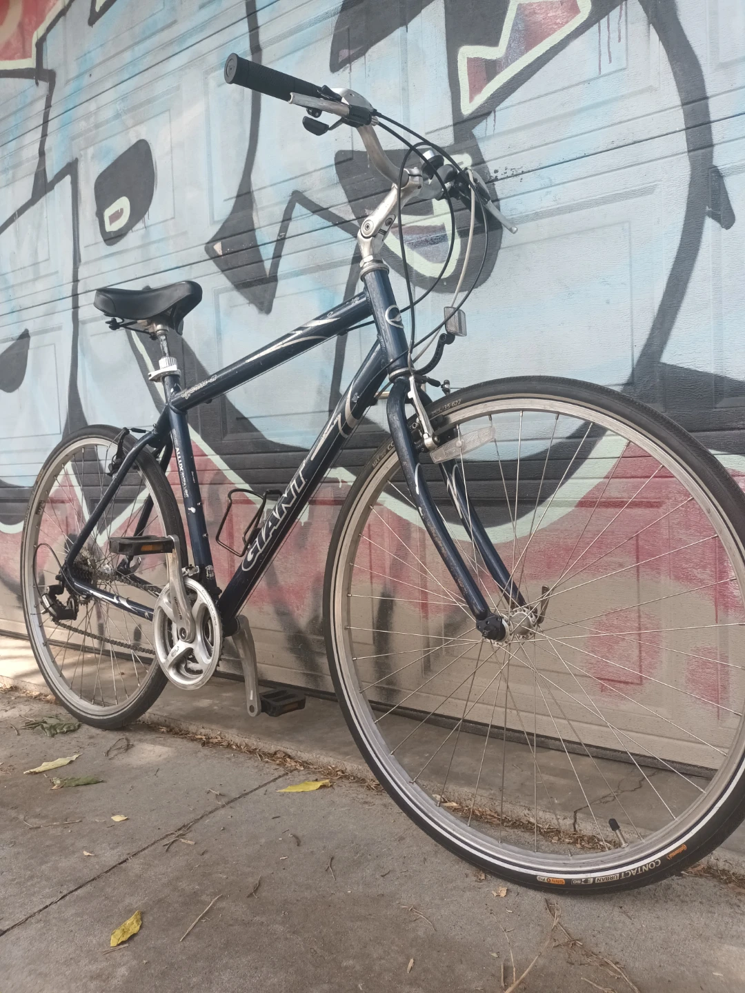 Giant Cypress Bike