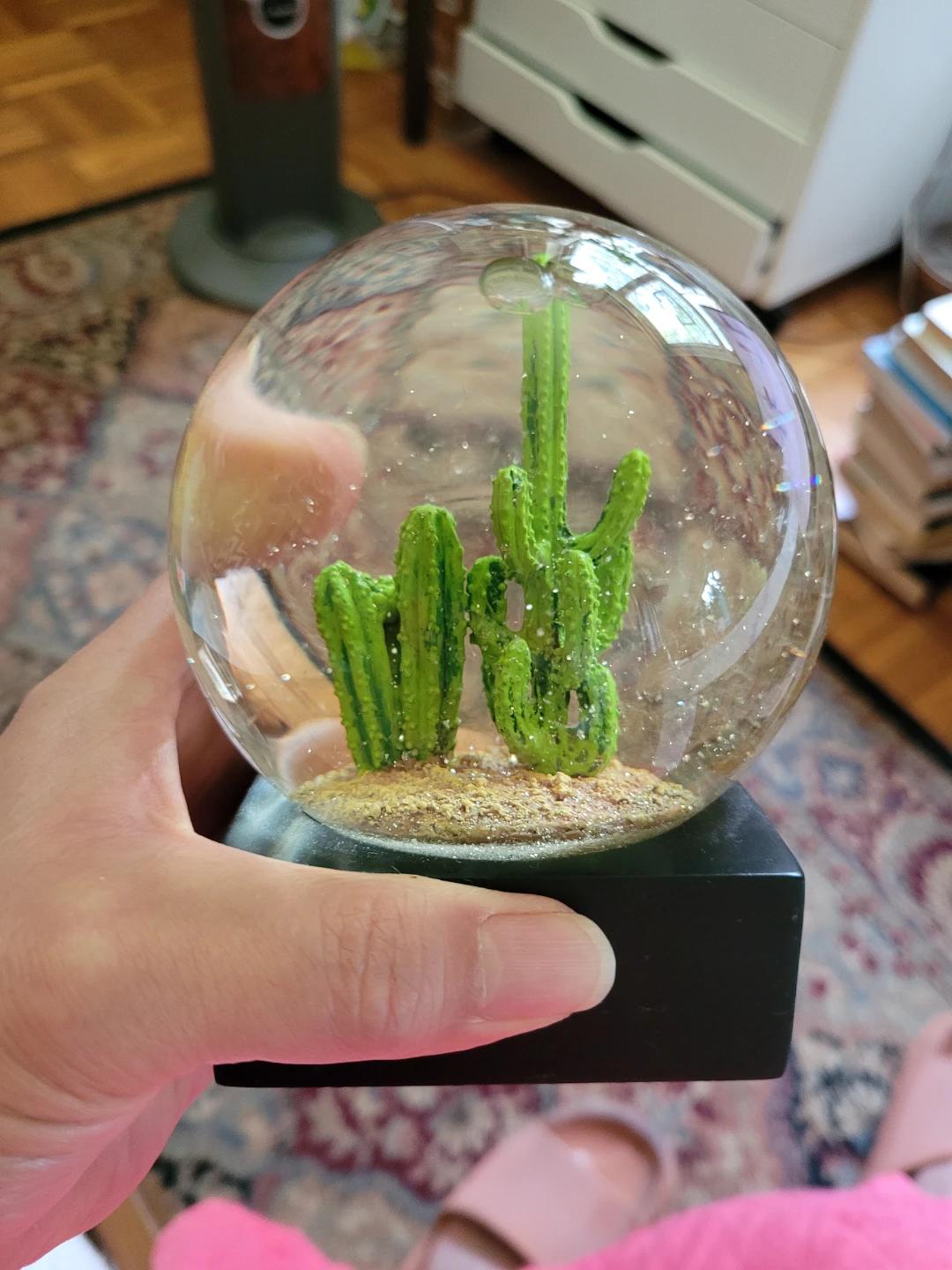 Decorative Cactus Snow Globe