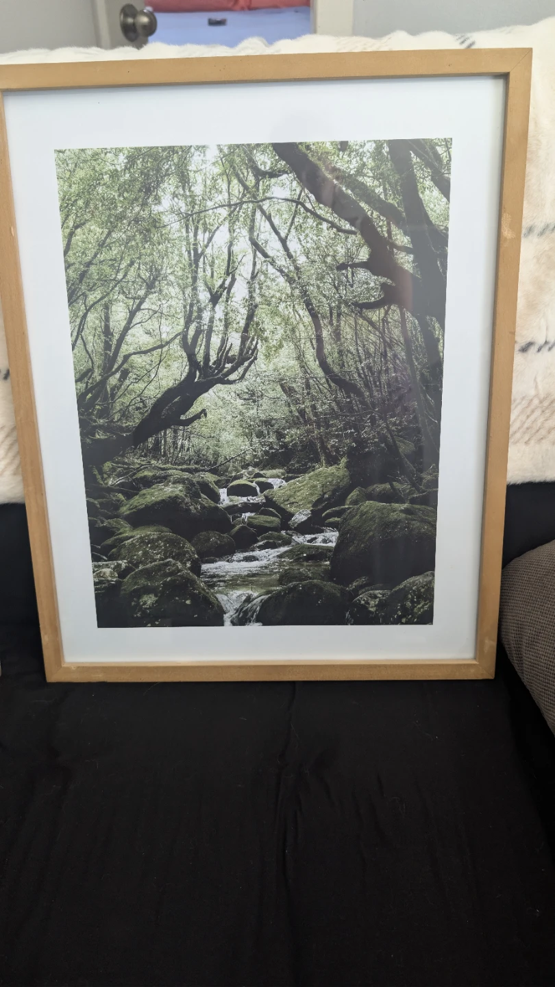 Framed Nature Prints (2) - Waterfall & Forest - photo 2