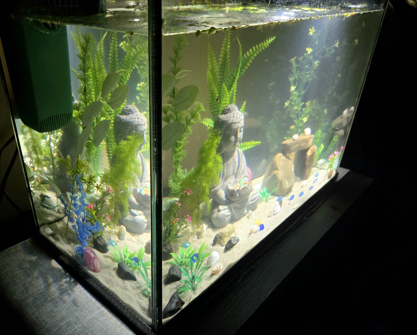 Fish Tank 20 Gal EVERYTHING INCLUDED - photo 2