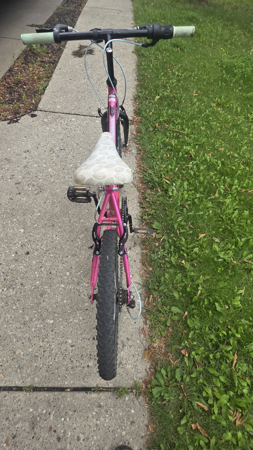 Girls bike - photo 2