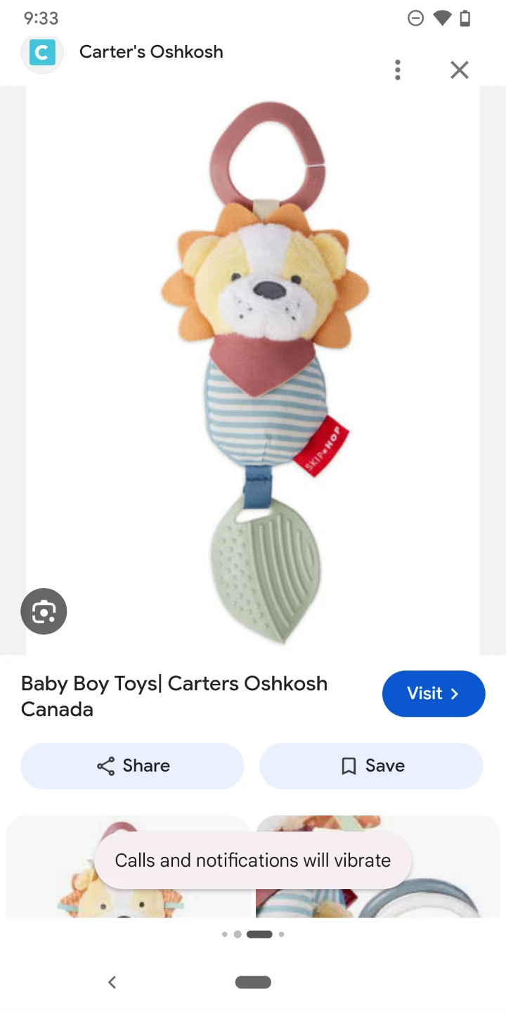 Skip Hop Lion Activity Toy