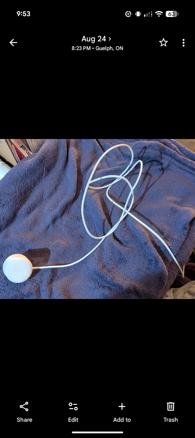 Google nest adapter