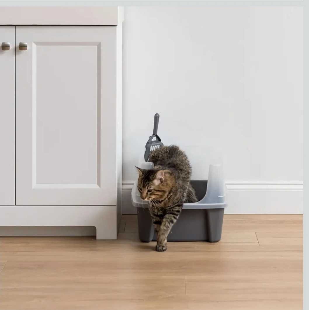 Cat Litter Box with Scoop - photo 3