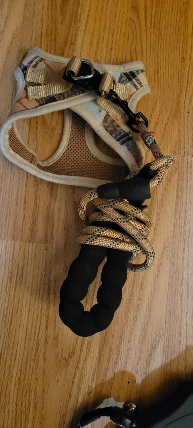 Dog Harnesses and Leashes - XS