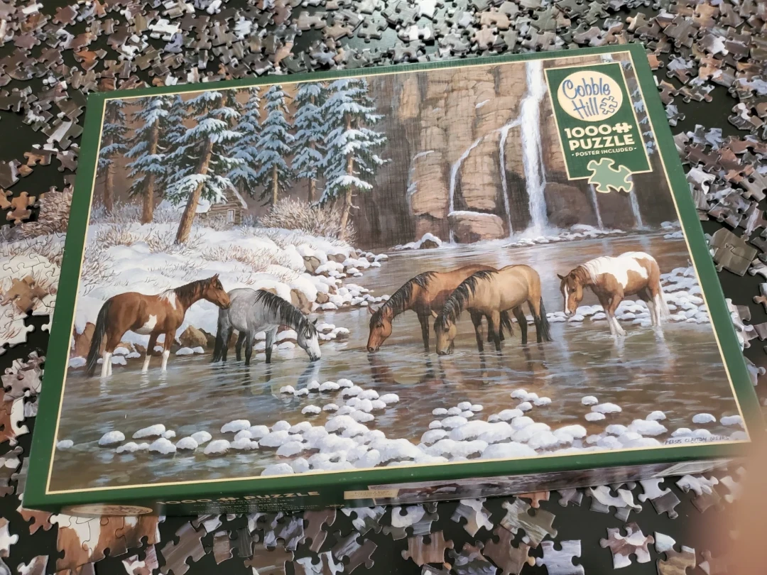 1000 piece puzzle