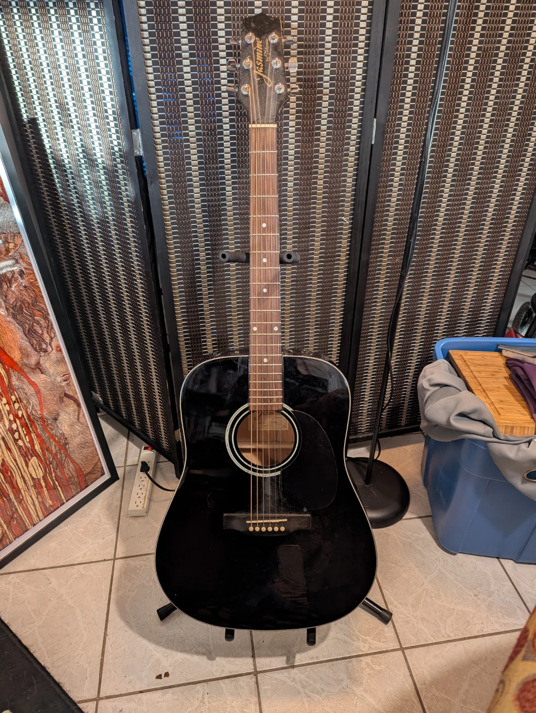 Jasmine Acoustic Guitar by Takamine