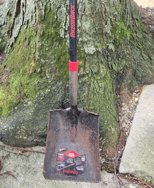 Razor Back Square Point Transfer Shovel