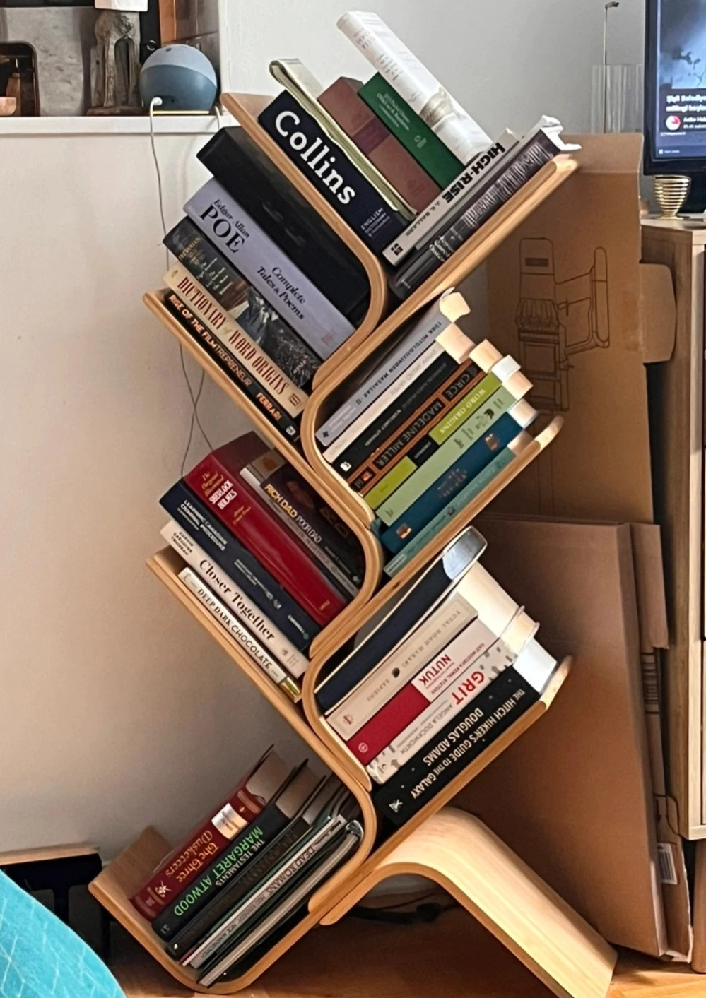 Bentwood Tree Bookshelf