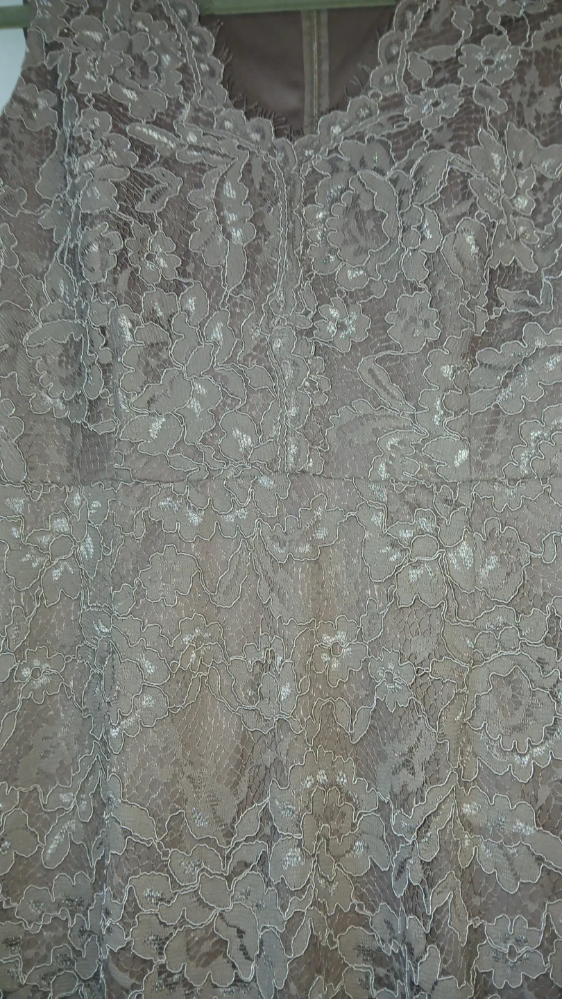Adrianna Papell Lace Gown - photo 3