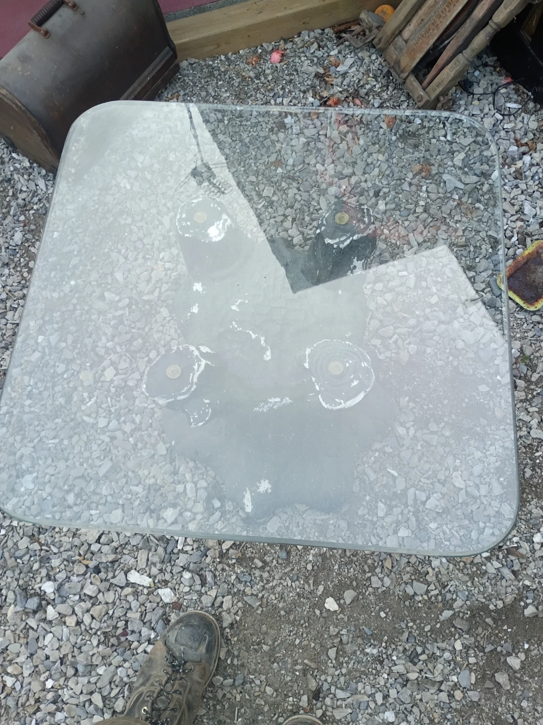 Glass Top Table with Tree Trunk Base - photo 2