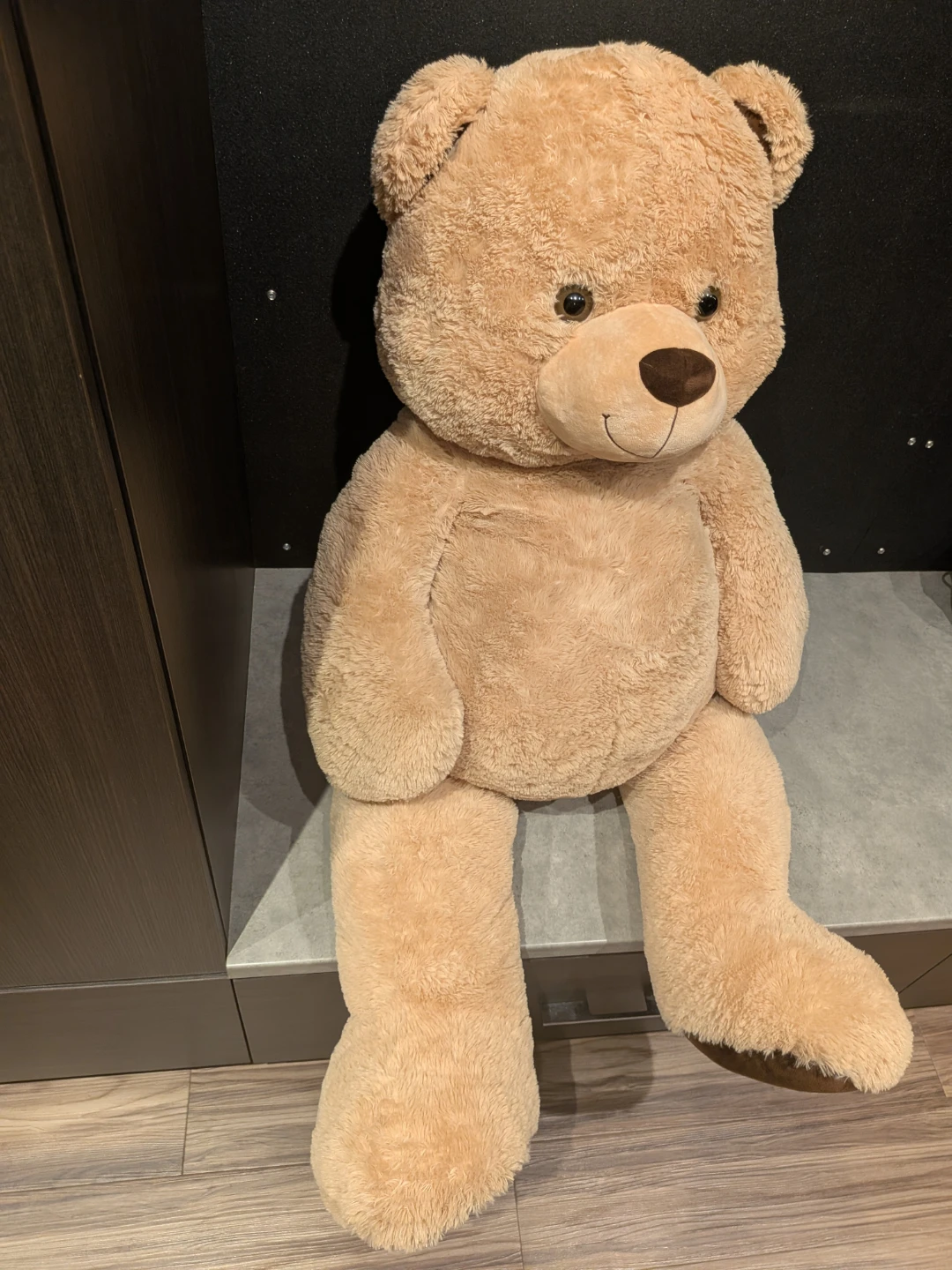 Giant Teddy Bear - photo 3