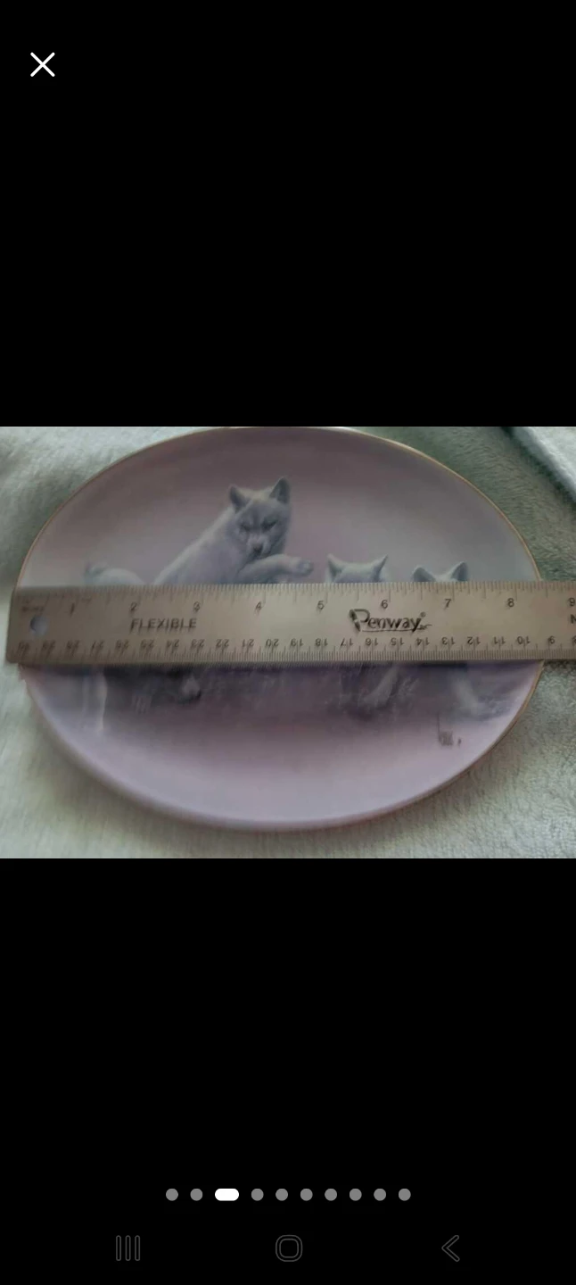 Bradford Exchange Wolf Plates - photo 4