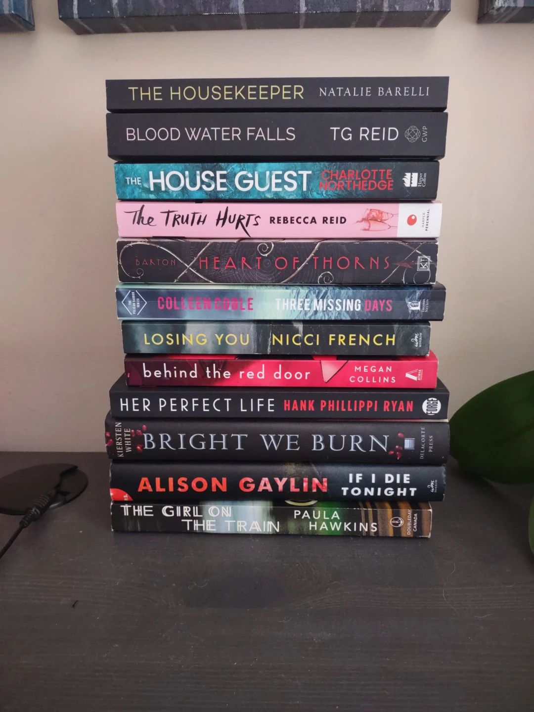 Stack of 12 Novels