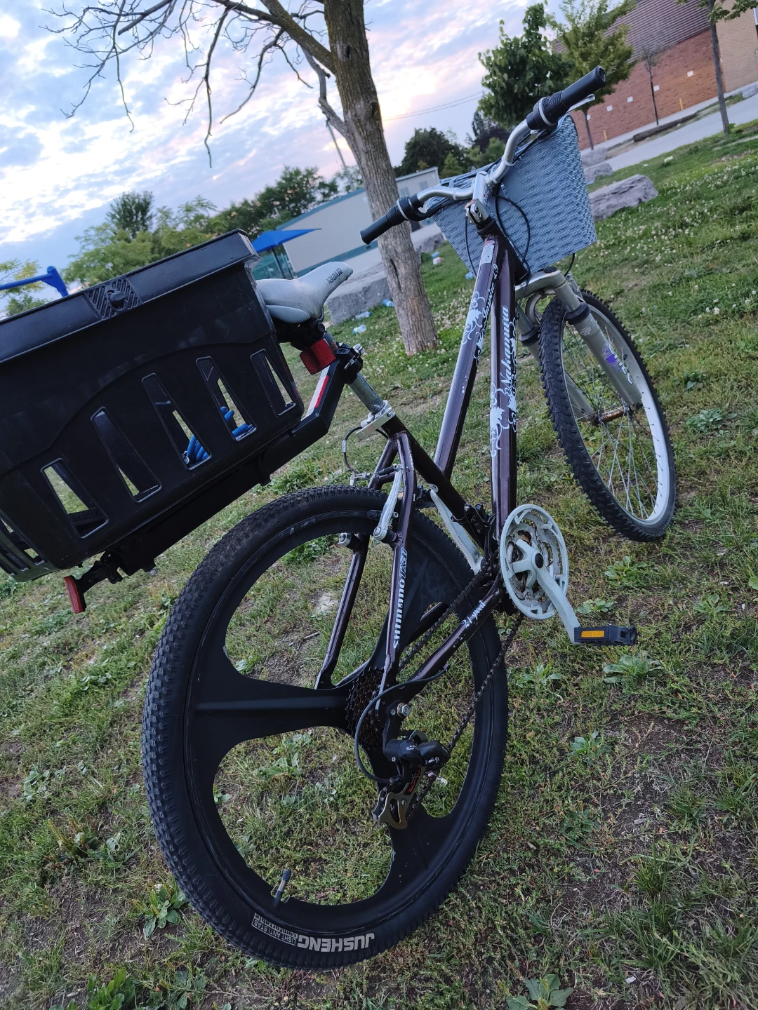 2 Bikes — Adult Mountain + Kids Bike — $160 — Ready to Ride 🚲 - photo 3