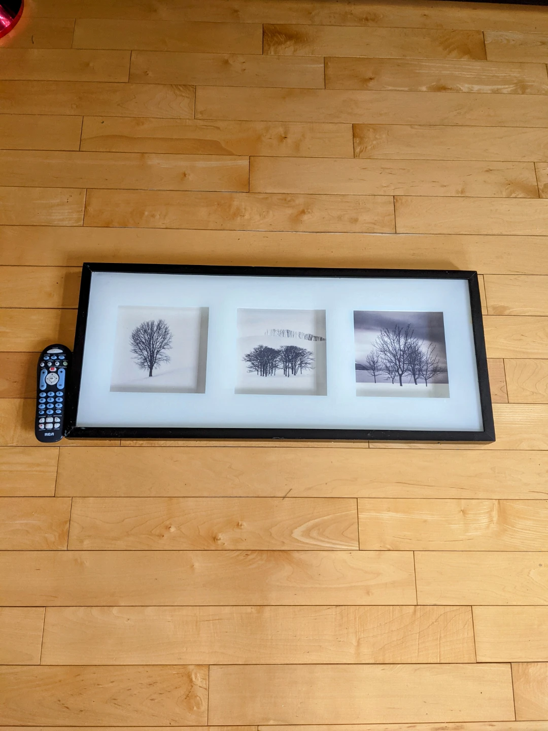 WALL ART / PICTURE/ DECORATION 16"