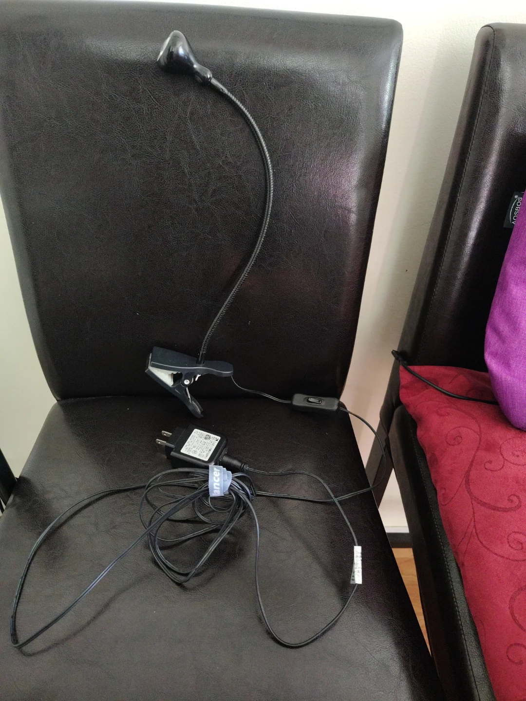 LED Clip-on Book Light with Power Adapter