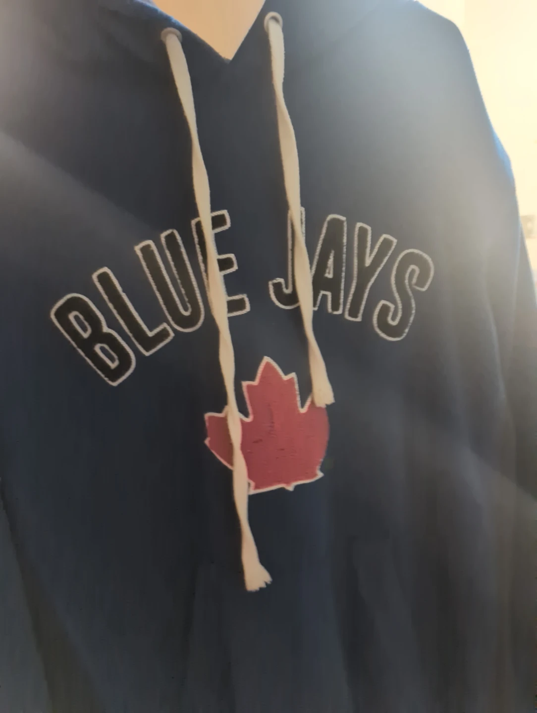 Toronto Blue Jays Hoodie