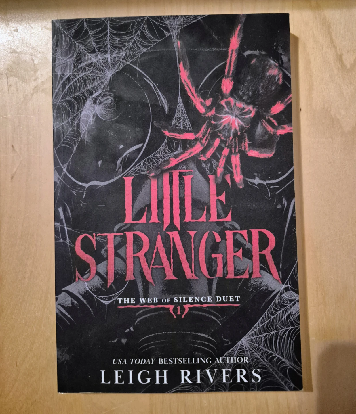 BN)Little Stranger: The Web of Silence Duet Book