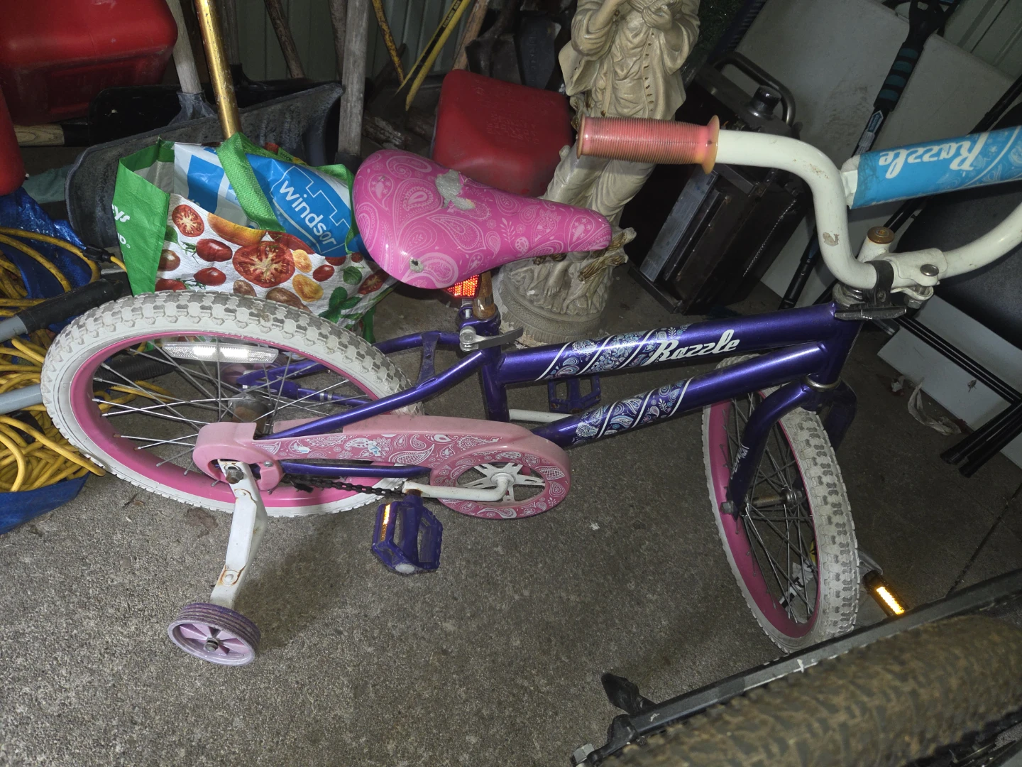 Razzle Kids Bike with Training Wheels