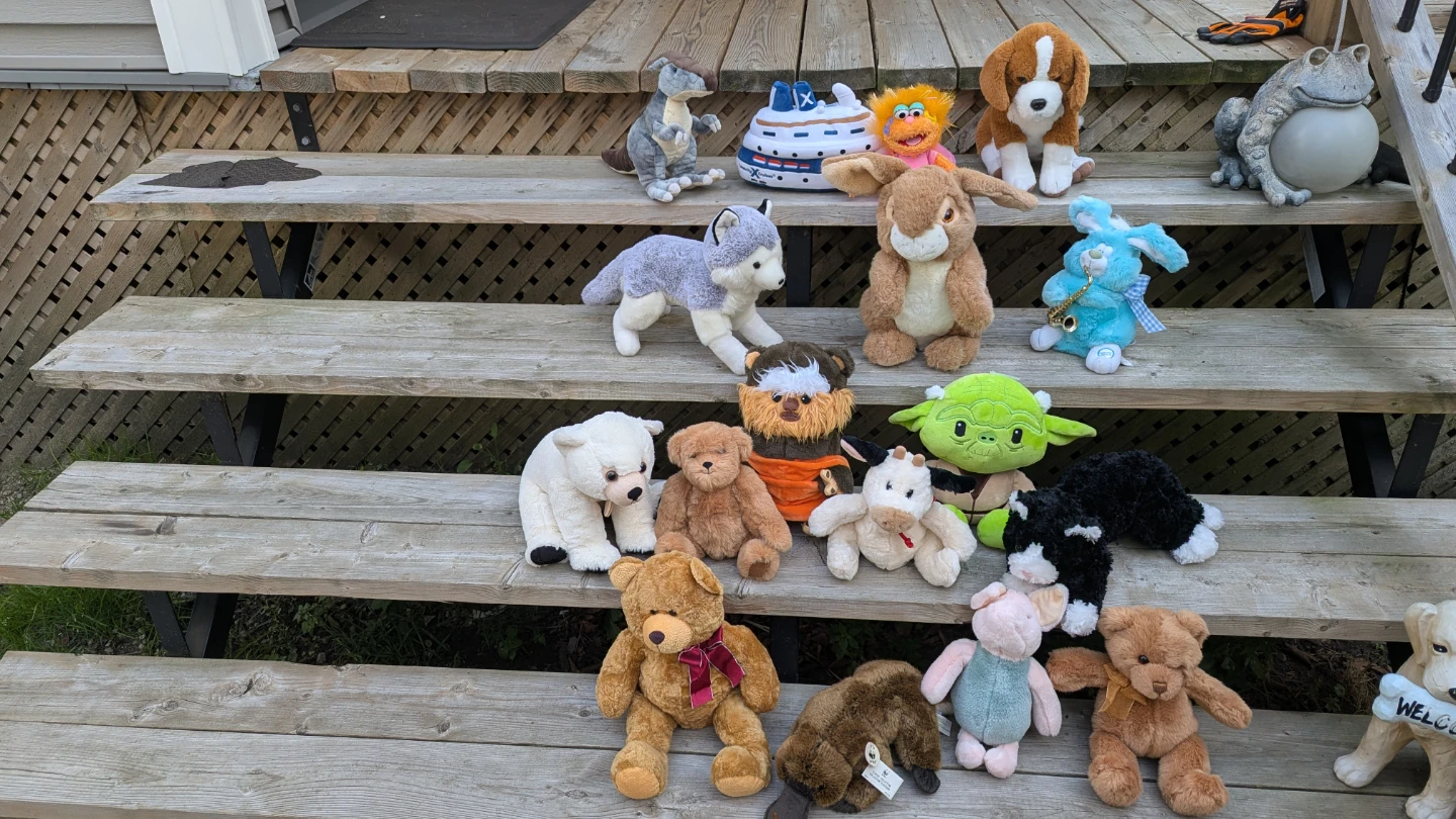 Assorted Plush Toys Collection12$ Each
