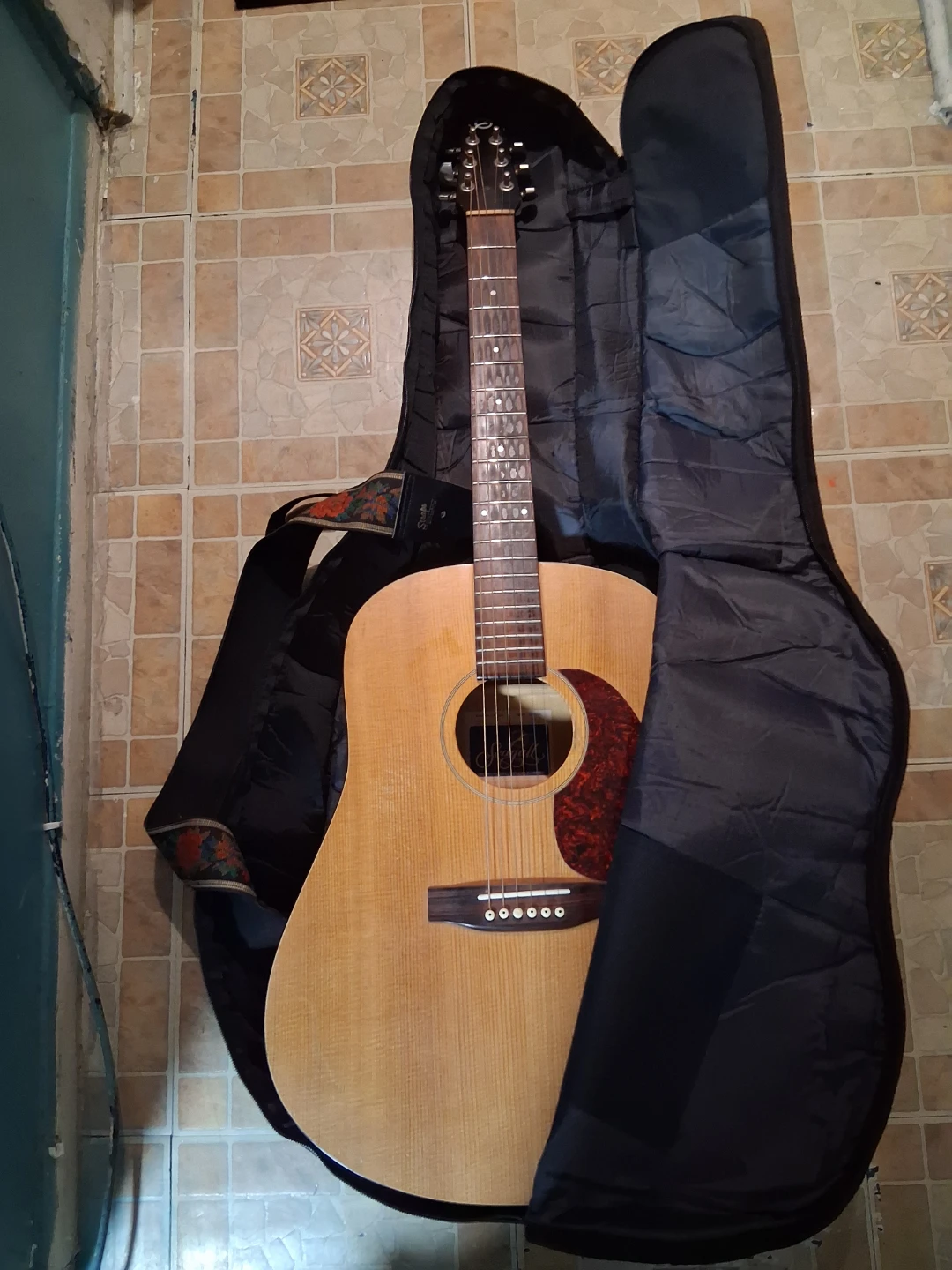 1983 Seagull S6 Acoustic Guitar and learn to play guitar