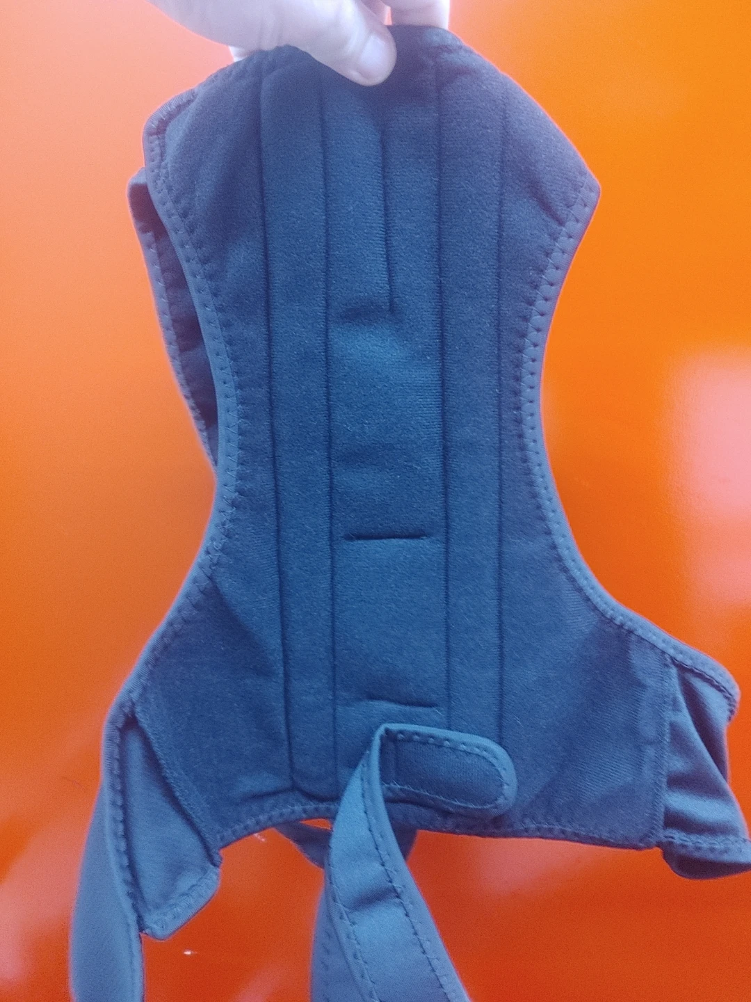 Adjustable back support