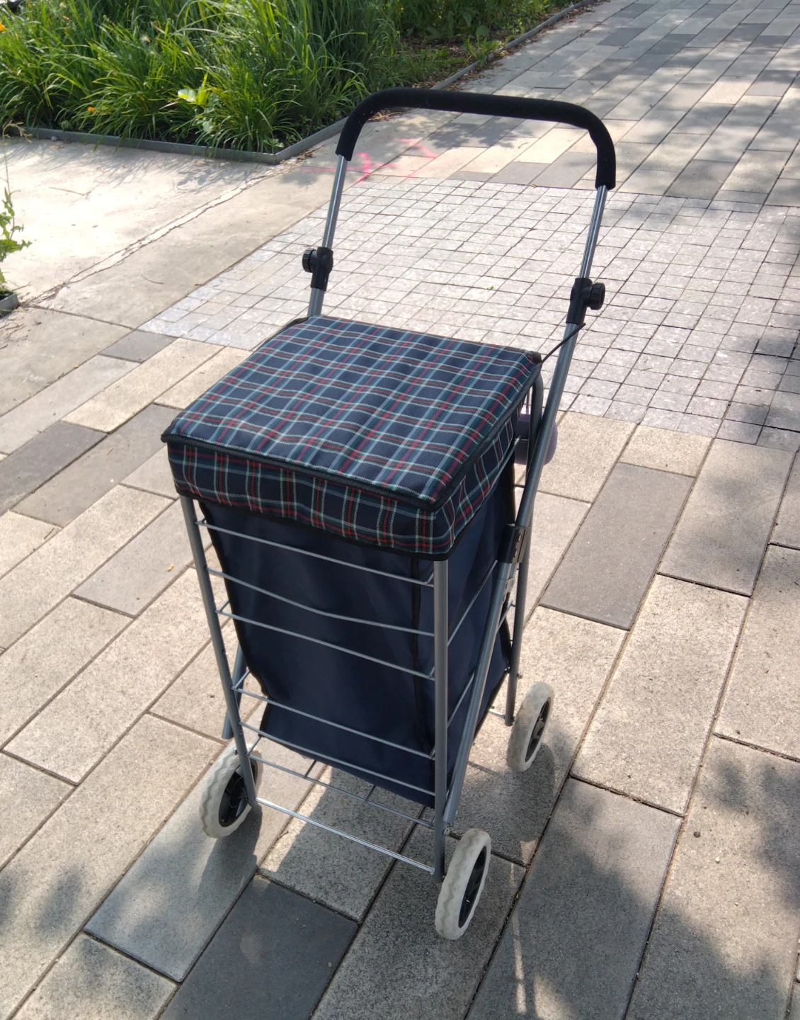 Buggy/ pull cart