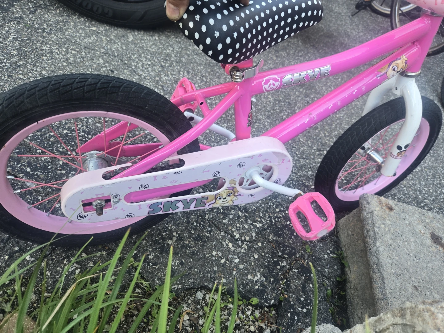 Kids Paw Patrol Skye Pink Bicycle