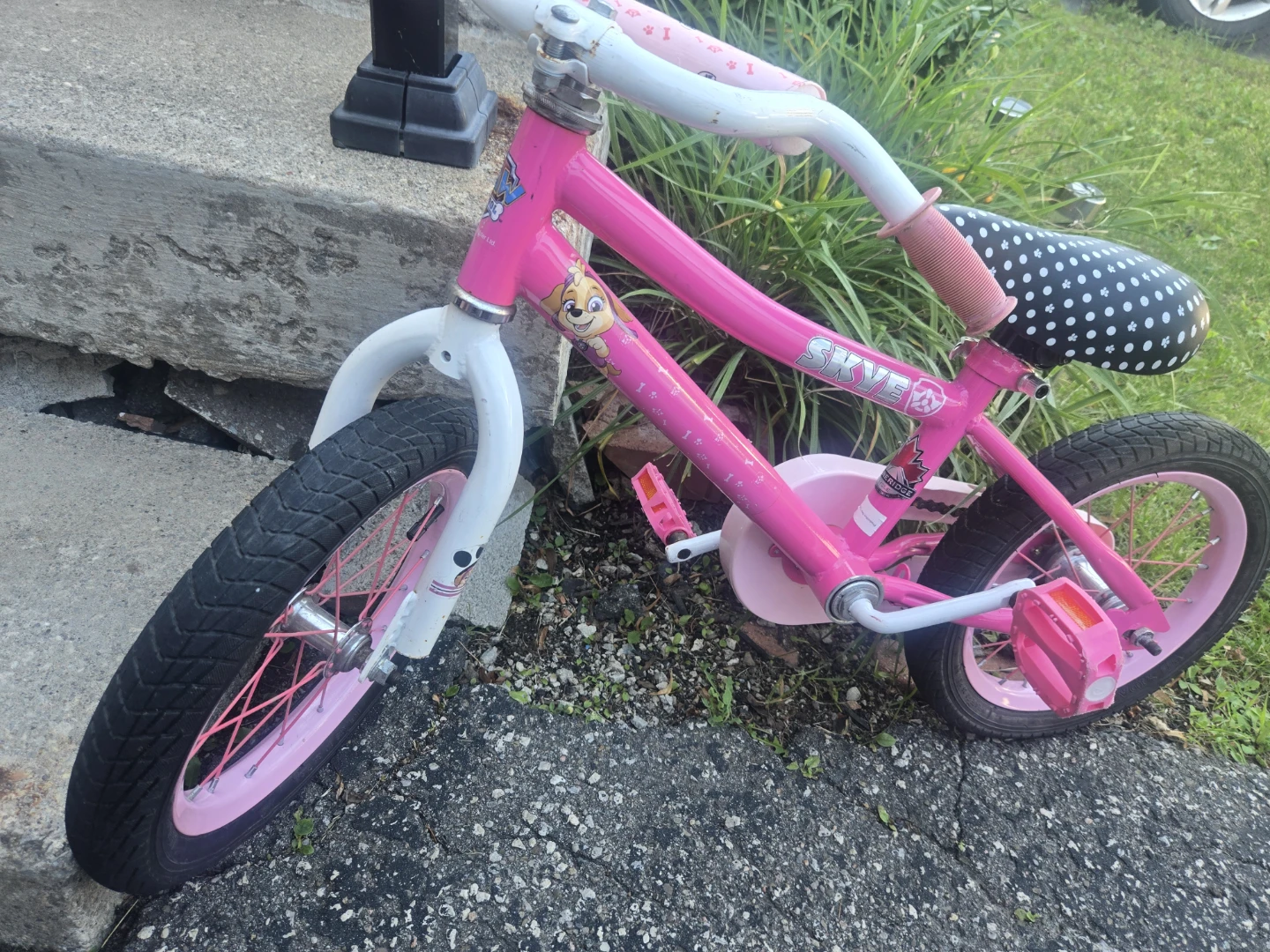Kids Paw Patrol Skye Pink Bicycle - photo 2