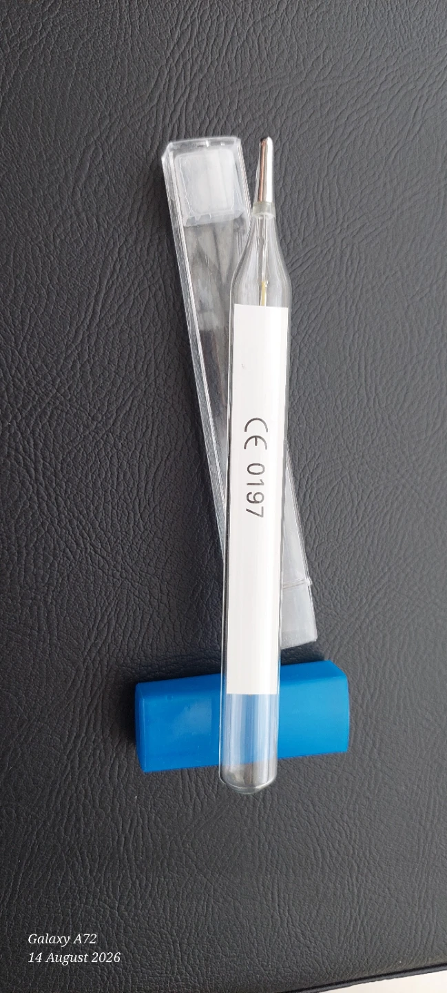 Glass Thermometer with Blue Case - photo 2