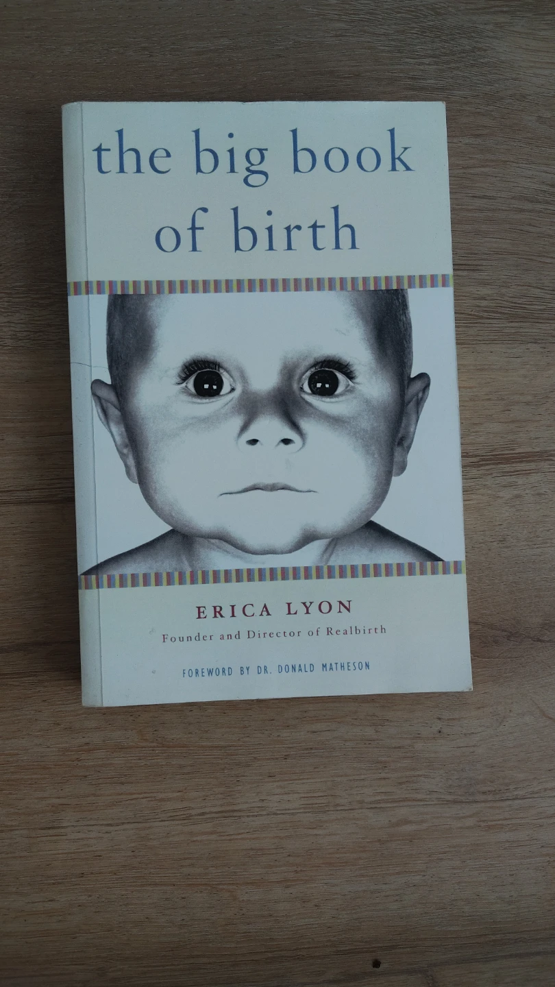 The Big Book of Birth by Erica Lyon