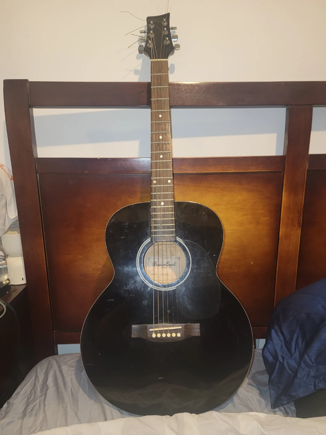 Beaver Creek Acoustic Guitar BCTF101BK