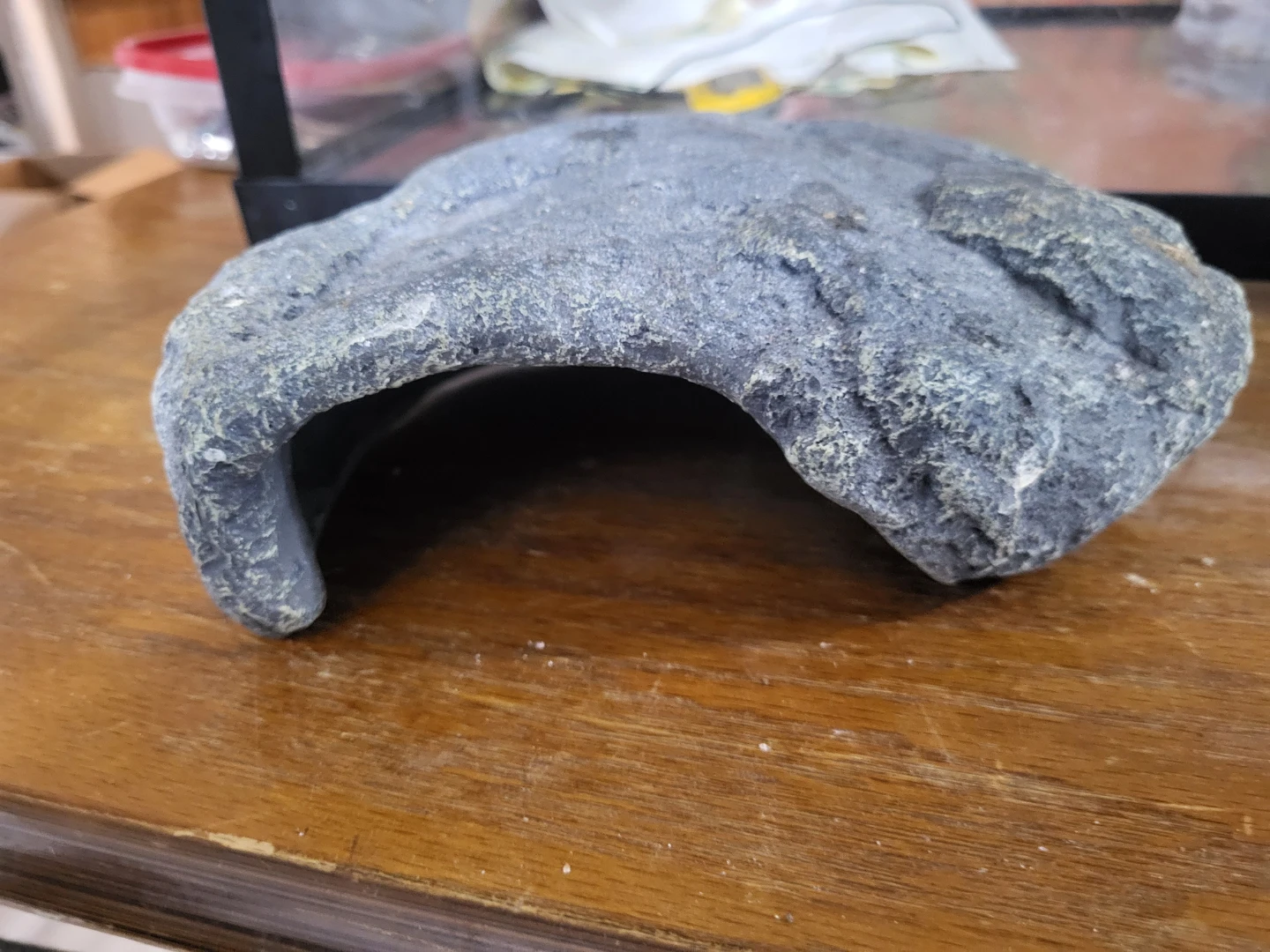 Bearded dragon or lizard stuff! - photo 5