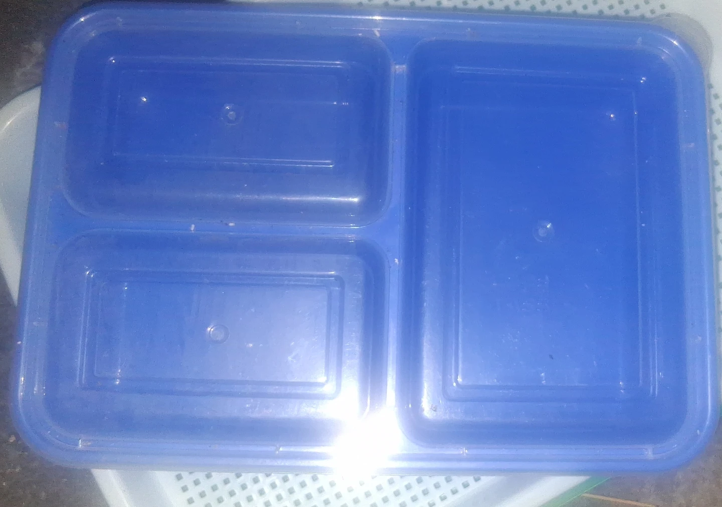 Blue 3-Compartment Food Container - photo 2