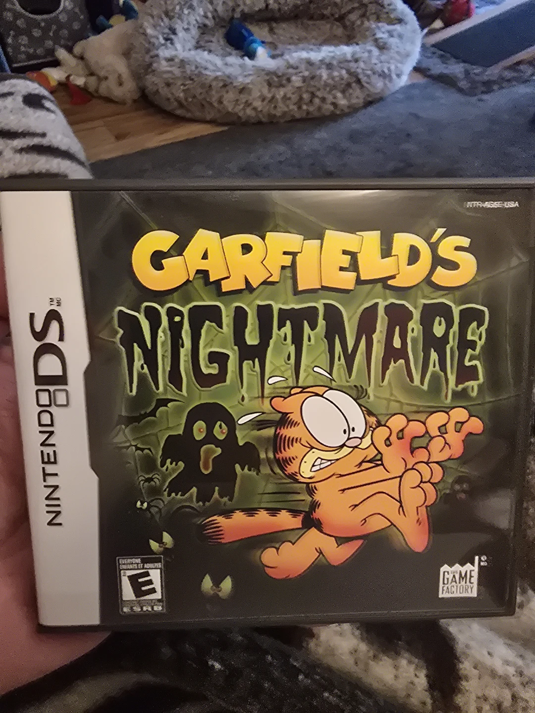 Nintendo DS Garfield's Nightmare Game