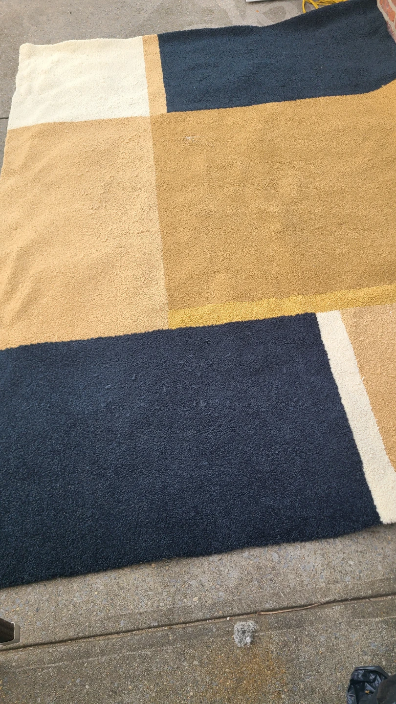 Geometric Pattern Area Rug - photo 2