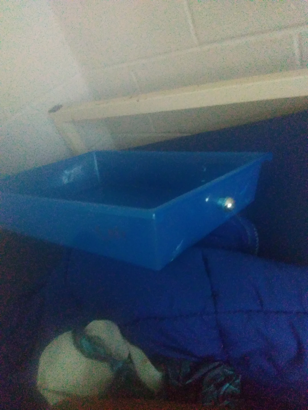 Blue plastic tray
