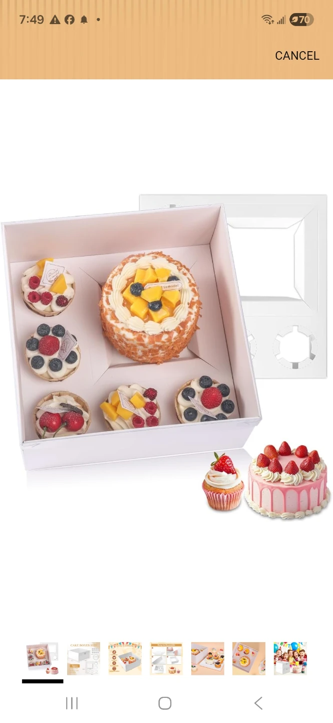 5 Piece Cake Boxes with Boards With Dispaly