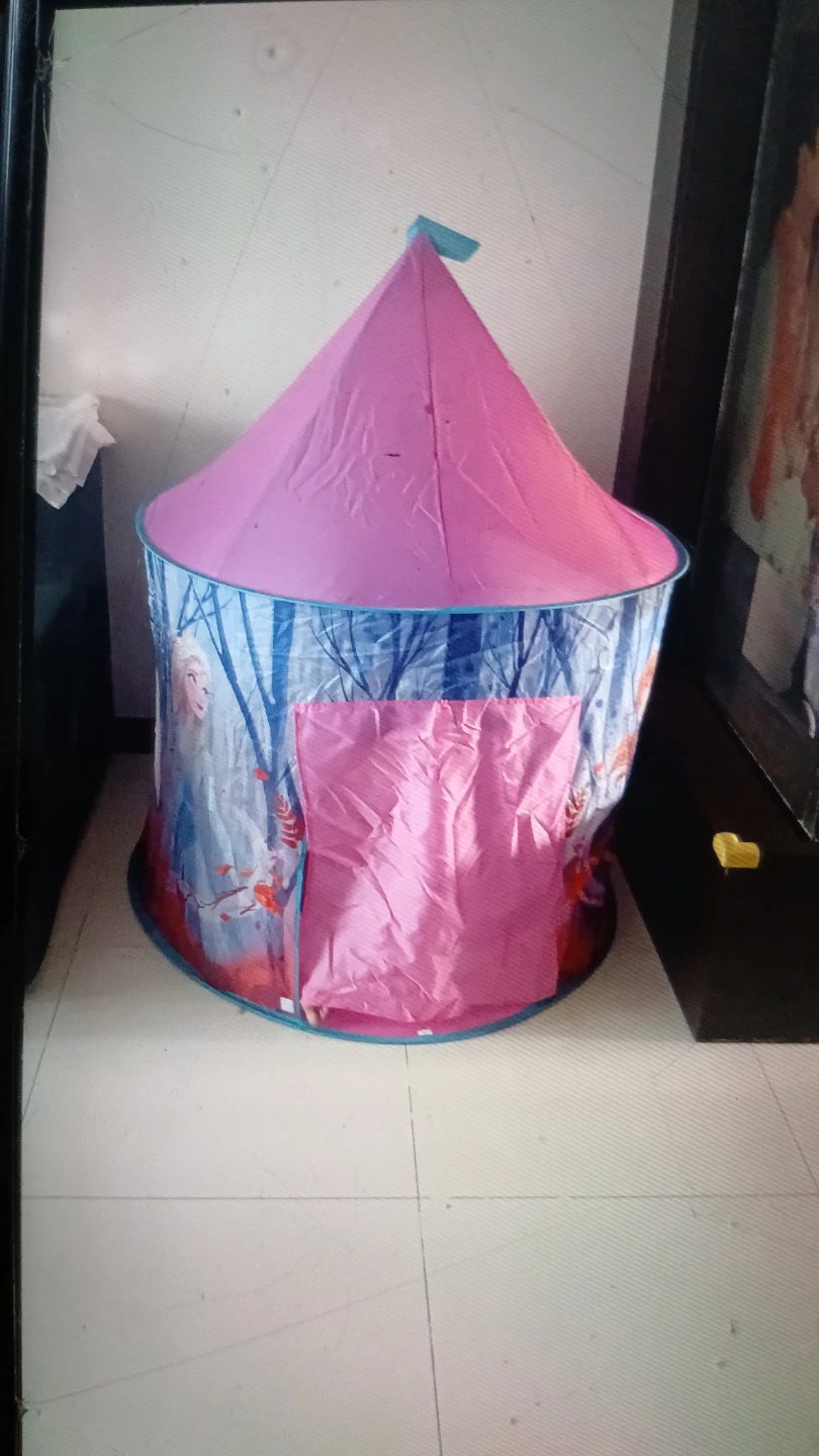 Princess Castle Play Tent with Frozen Characters