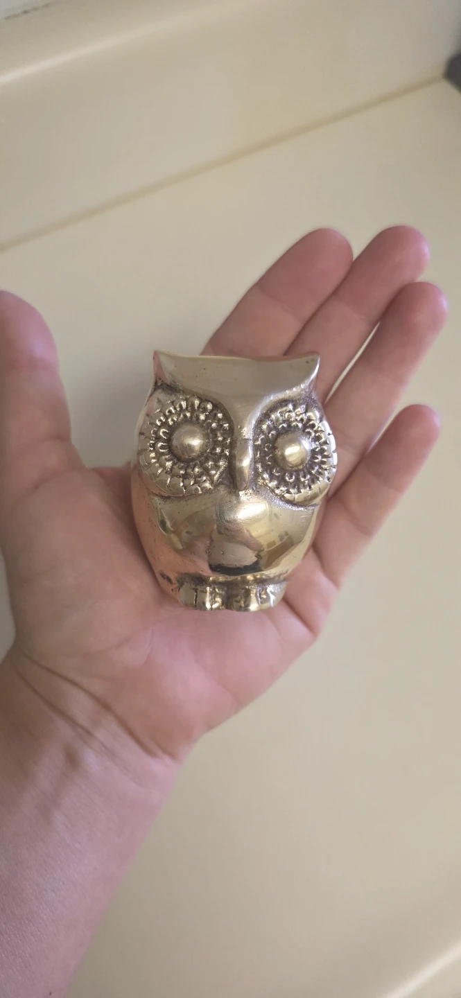 Brass Owl Figurines (Set of 2) - photo 3