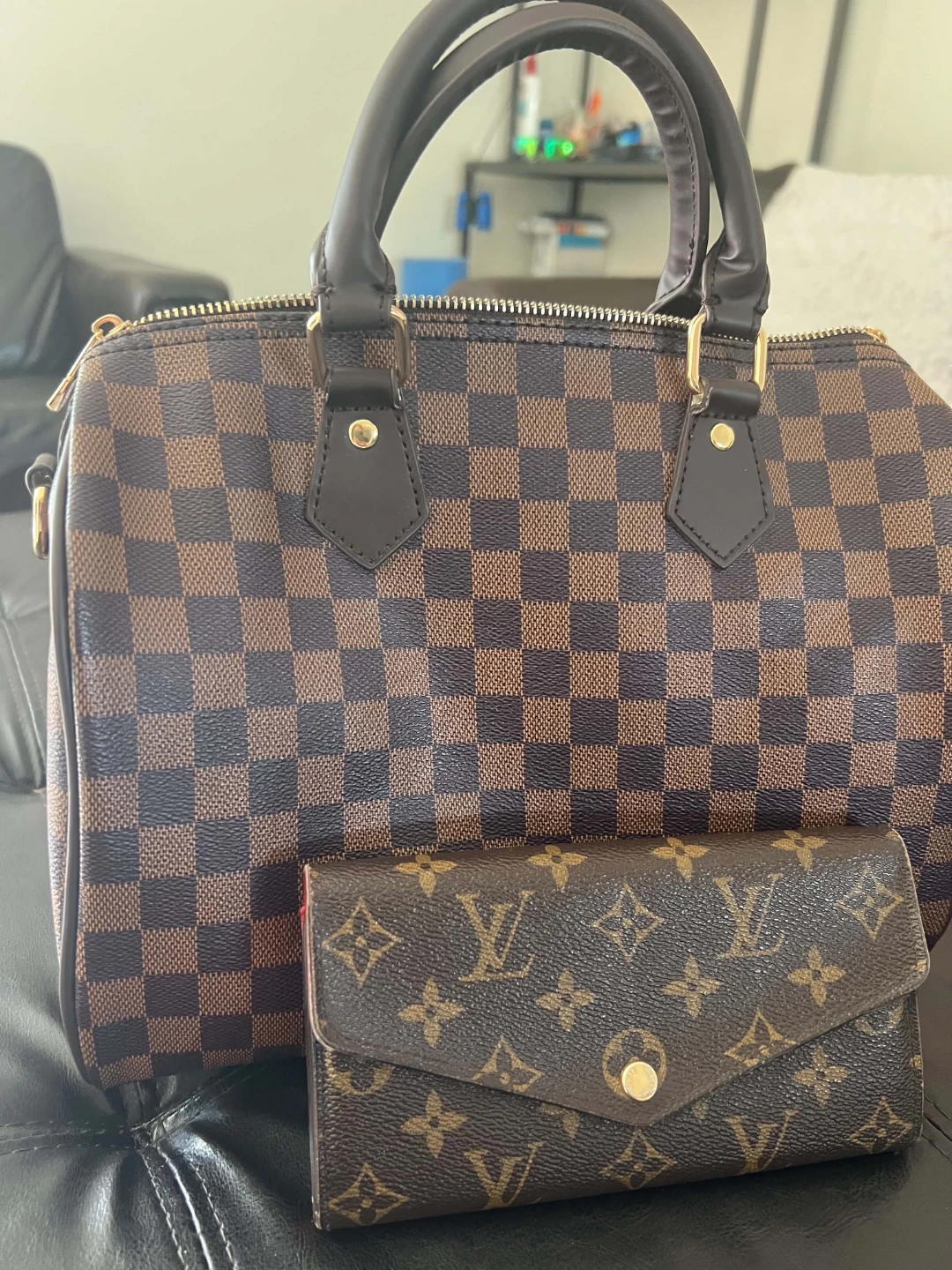 Louis Vuitton Speedy Bag and Wallet Set