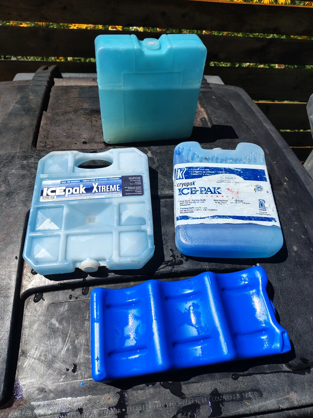 Cryopac Cooler Reusable Ice packs