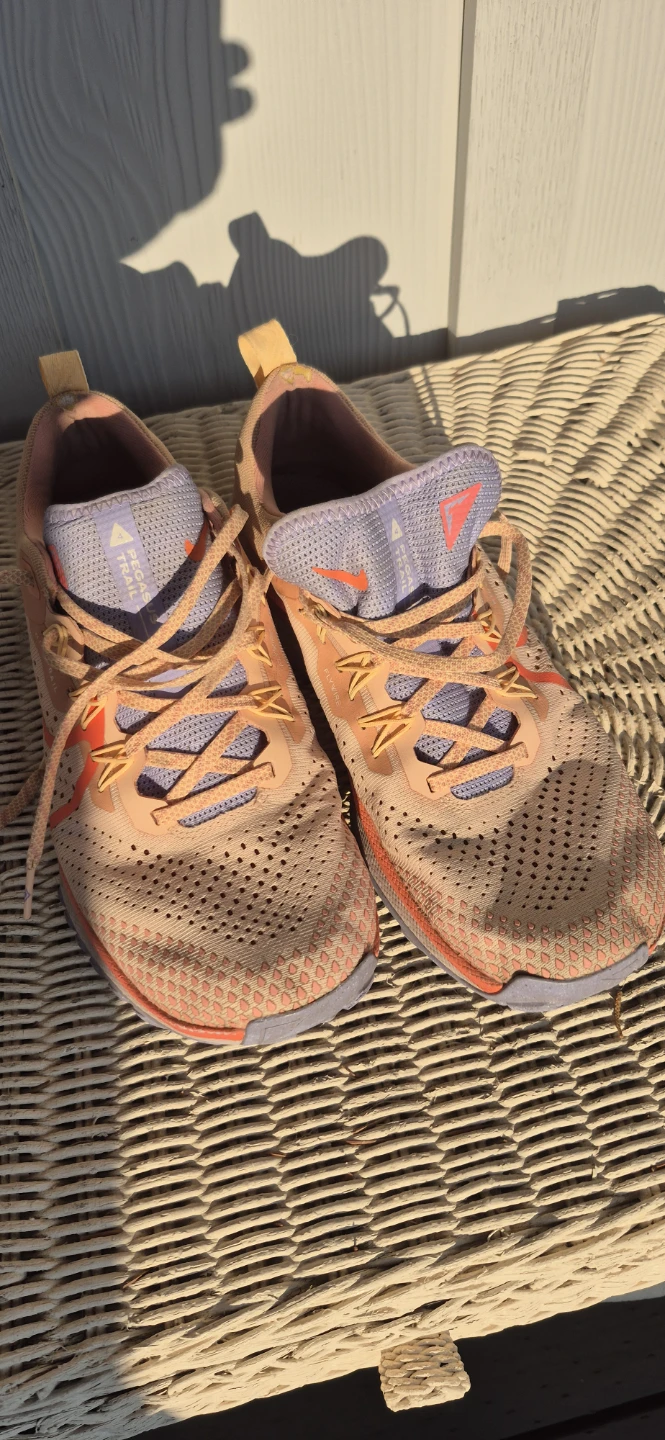 Nike Pegasus Trail 3 Women's Running Shoes - photo 3