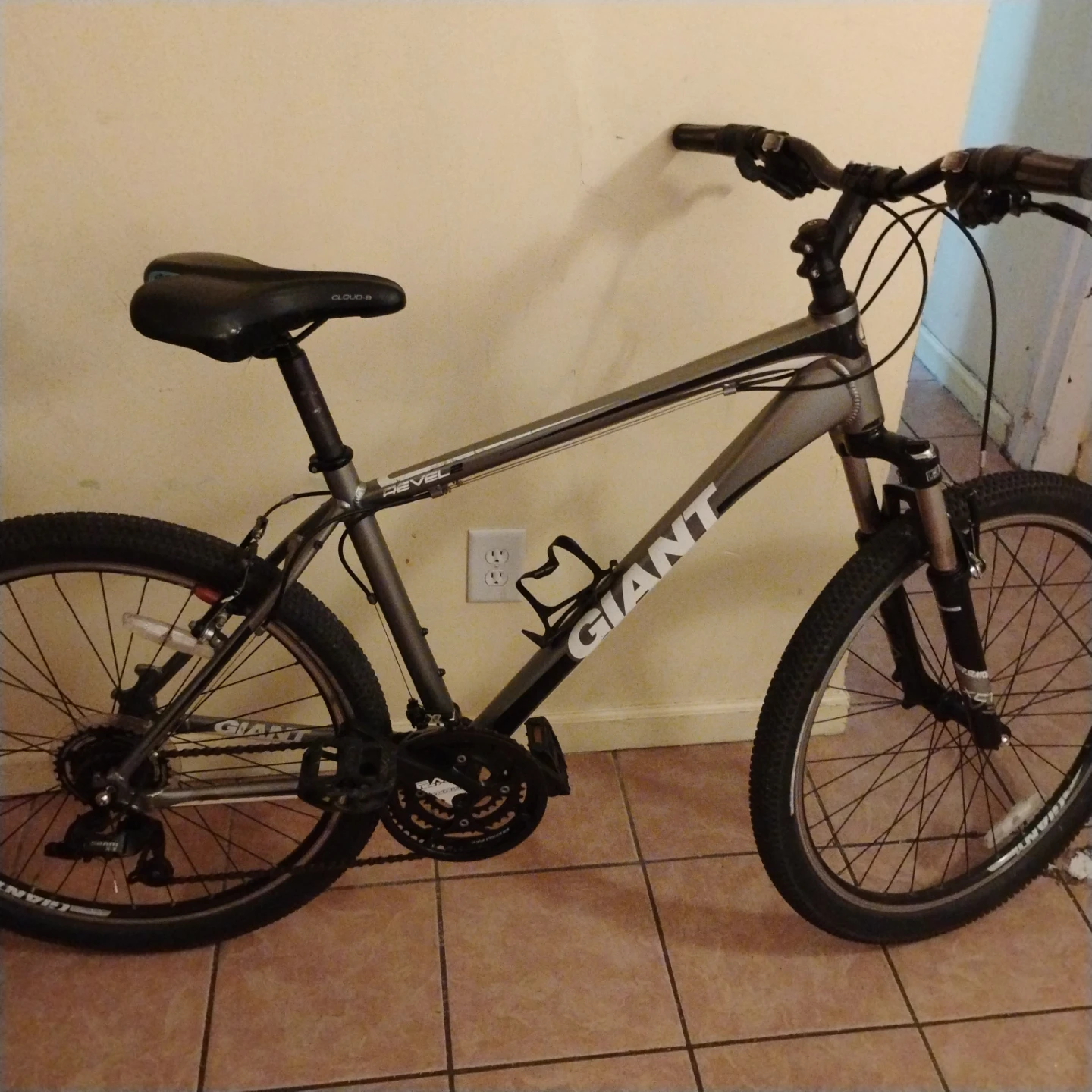 Giant Revel Mountain Bike